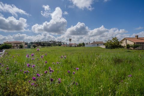 Helårsgrund i Leiria, Leiria, Leiria - € 150.000 | Ref: SF-SAFTI:008230 - foto 10