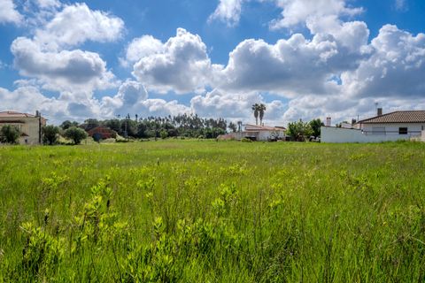 Helårsgrund i Leiria, Leiria, Leiria - € 150.000 | Ref: SF-SAFTI:008230 - foto 12