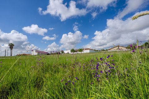 Helårsgrund i Leiria, Leiria, Leiria - € 150.000 | Ref: SF-SAFTI:008230 - foto 13