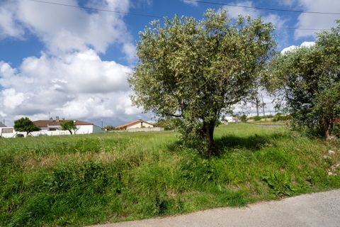 Helårsgrund i Leiria, Leiria, Leiria - € 150.000 | Ref: SF-SAFTI:008230 - foto 14