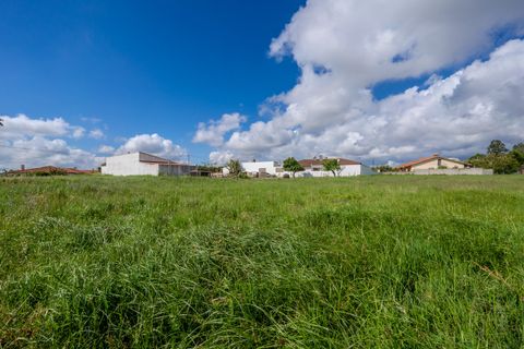 Helårsgrund i Leiria, Leiria, Leiria - € 150.000 | Ref: SF-SAFTI:008230 - foto 15