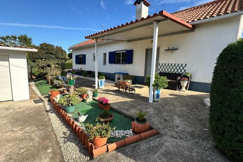 Farm i Abrantes, Santarem, Abrantes - € 780.000 | Ref: SF-SAFTI:008234 - foto 2