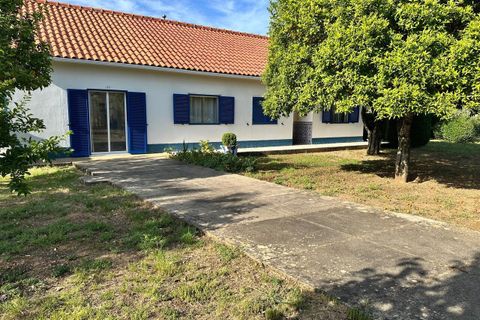 Farm i Abrantes, Santarem, Abrantes - € 780.000 | Ref: SF-SAFTI:008234 - foto 3