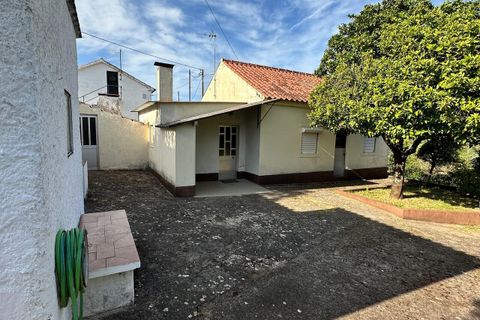 Farm i Abrantes, Santarem, Abrantes - € 780.000 | Ref: SF-SAFTI:008234 - foto 18