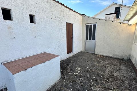 Farm i Abrantes, Santarem, Abrantes - € 780.000 | Ref: SF-SAFTI:008234 - foto 19