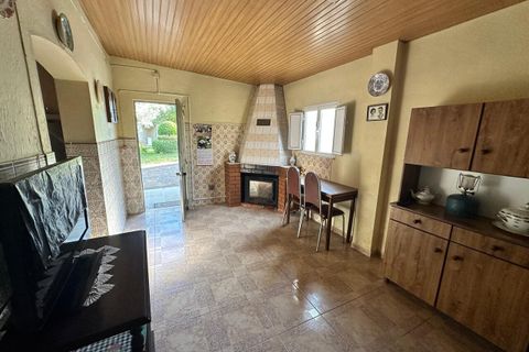 Farm i Abrantes, Santarem, Abrantes - € 780.000 | Ref: SF-SAFTI:008234 - foto 21