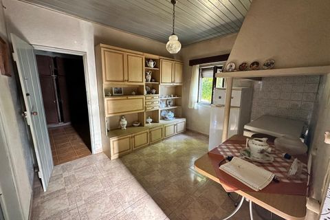 Farm i Abrantes, Santarem, Abrantes - € 780.000 | Ref: SF-SAFTI:008234 - foto 22