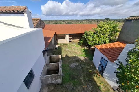 Farm i Arez e Amieira do Tejo, Portalegre, Arez e Amieira do Tejo - € 175.000 | Ref: SF-SAFTI:008231 - foto 4