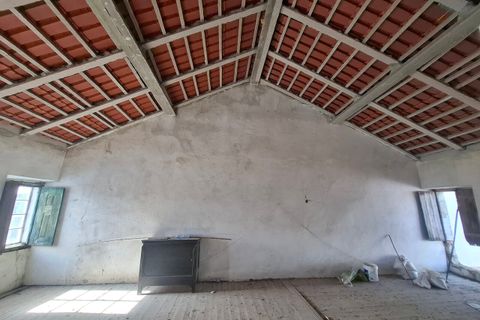Farm i Arez e Amieira do Tejo, Portalegre, Arez e Amieira do Tejo - € 175.000 | Ref: SF-SAFTI:008231 - foto 6