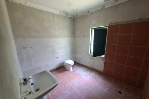 Farm i Arez e Amieira do Tejo, Portalegre, Arez e Amieira do Tejo - € 175.000 | Ref: SF-SAFTI:008231 - foto 14