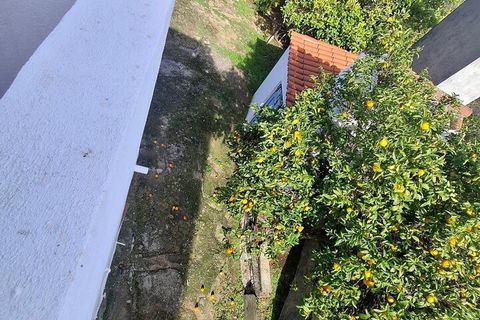 Farm i Arez e Amieira do Tejo, Portalegre, Arez e Amieira do Tejo - € 175.000 | Ref: SF-SAFTI:008231 - foto 18