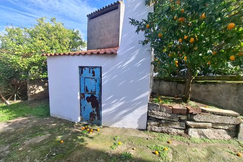 Farm i Arez e Amieira do Tejo, Portalegre, Arez e Amieira do Tejo - € 175.000 | Ref: SF-SAFTI:008231 - foto 19
