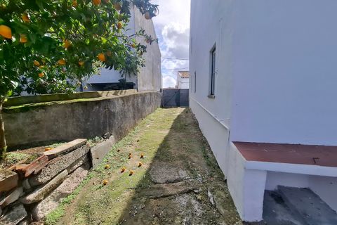 Farm i Arez e Amieira do Tejo, Portalegre, Arez e Amieira do Tejo - € 175.000 | Ref: SF-SAFTI:008231 - foto 20