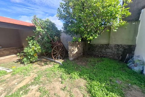 Farm i Arez e Amieira do Tejo, Portalegre, Arez e Amieira do Tejo - € 175.000 | Ref: SF-SAFTI:008231 - foto 22