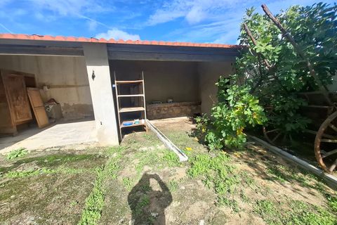 Farm i Arez e Amieira do Tejo, Portalegre, Arez e Amieira do Tejo - € 175.000 | Ref: SF-SAFTI:008231 - foto 23