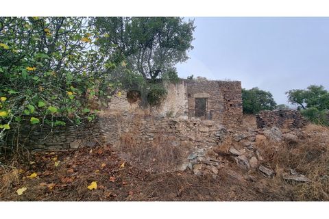 Villa i Almodovar, Beja, Almodovar - € 40.000 | Ref: M5-008.25 - foto 5