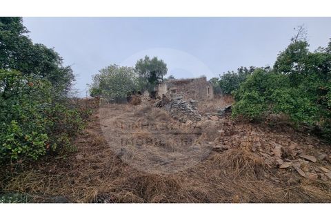 Villa i Almodovar, Beja, Almodovar - € 40.000 | Ref: M5-008.25 - foto 7