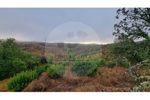 Villa i Almodovar, Beja, Almodovar - € 40.000 | Ref: M5-008.25 - foto 10