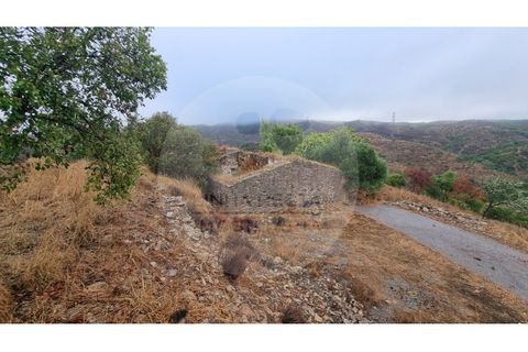 Villa i Almodovar, Beja, Almodovar - € 40.000 | Ref: M5-008.25 - foto 11