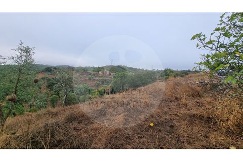 Villa i Almodovar, Beja, Almodovar - € 40.000 | Ref: M5-008.25 - foto 12