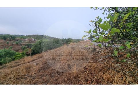 Villa i Almodovar, Beja, Almodovar - € 40.000 | Ref: M5-008.25 - foto 13