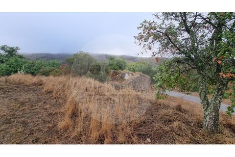 Villa i Almodovar, Beja, Almodovar - € 40.000 | Ref: M5-008.25 - foto 14