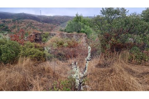 Villa i Almodovar, Beja, Almodovar - € 40.000 | Ref: M5-008.25 - foto 15