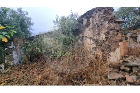 Villa i Almodovar, Beja, Almodovar - € 40.000 | Ref: M5-008.25 - foto 16