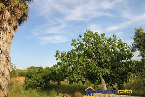 Villa a Ispica, Ragusa, Ispica - € 39.000 | Ref: Marina Marza - foto 13