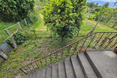 Villa i Ponte da Barca, Viana do Castelo, Ponte da Barca - € 182.000 | Ref: 126371008-100 - foto 20