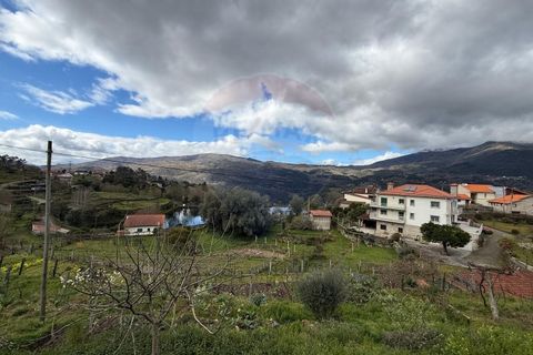 Villa i Ponte da Barca, Viana do Castelo, Ponte da Barca - € 30.000 | Ref: 1020-49 - foto 4