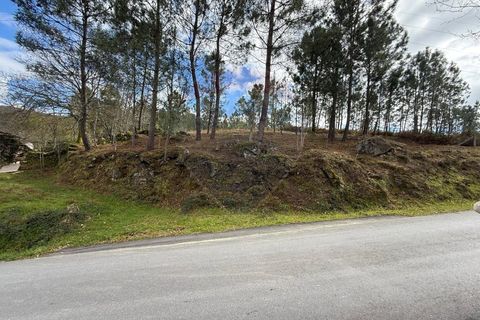 Villa i Ponte da Barca, Viana do Castelo, Ponte da Barca - € 30.000 | Ref: 1020-49 - foto 5