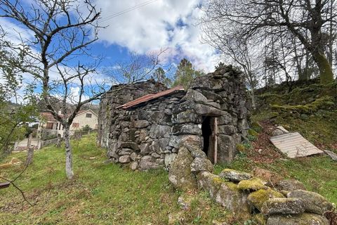 Villa i Ponte da Barca, Viana do Castelo, Ponte da Barca - € 30.000 | Ref: 1020-49 - foto 19