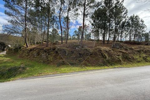 Villa i Ponte da Barca, Viana do Castelo, Ponte da Barca - € 30.000 | Ref: 1020-49 - foto 23