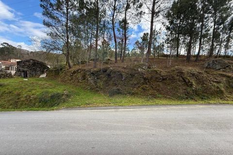 Villa i Ponte da Barca, Viana do Castelo, Ponte da Barca - € 30.000 | Ref: 1020-49 - foto 24