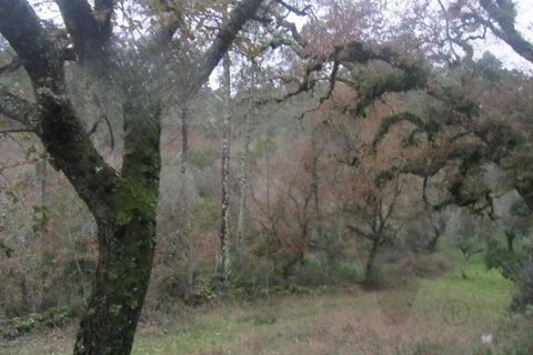 Helårsgrund i Ansiao, Leiria, Ansiao - € 8.500 | Ref: KWPT-032170 - foto 4