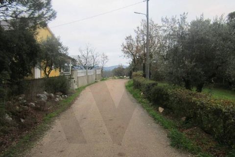 Helårsgrund i Ansiao, Leiria, Ansiao - € 18.000 | Ref: KWPT-032187 - foto 2