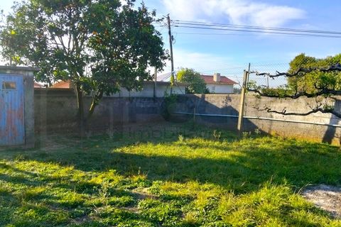 Villa a Branca, Aveiro, Branca - € 310.000 | Ref: AV26/055 - foto 9