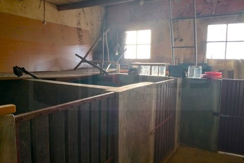 Villa a Branca, Aveiro, Branca - € 310.000 | Ref: AV26/055 - foto 12