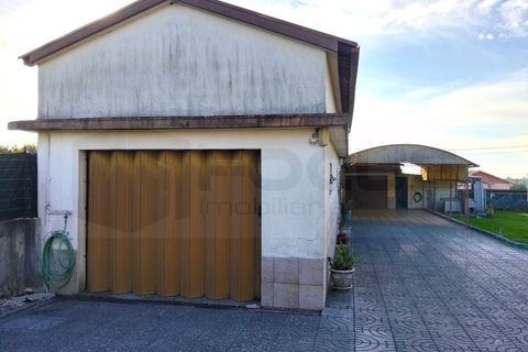 Villa a Branca, Aveiro, Branca - € 310.000 | Ref: AV26/055 - foto 18