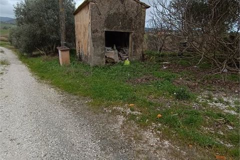 Landejendom i Rosignano Marittimo, Livorno, Rosignano Marittimo - € 120.000 | Ref: C2222 - foto 9
