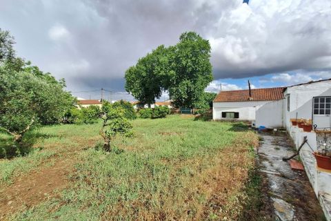 Farm hus i Serpa, Beja, Serpa - € 330.000 | Ref: 0336 - foto 7