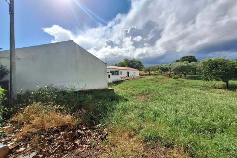 Farm hus i Serpa, Beja, Serpa - € 330.000 | Ref: 0336 - foto 8