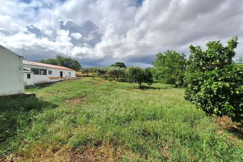 Farm hus i Serpa, Beja, Serpa - € 330.000 | Ref: 0336 - foto 9