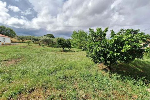 Farm hus i Serpa, Beja, Serpa - € 330.000 | Ref: 0336 - foto 11