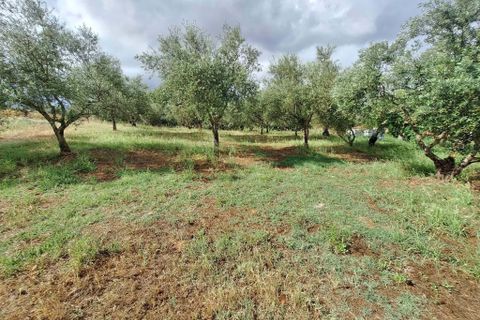 Farm hus i Serpa, Beja, Serpa - € 330.000 | Ref: 0336 - foto 12