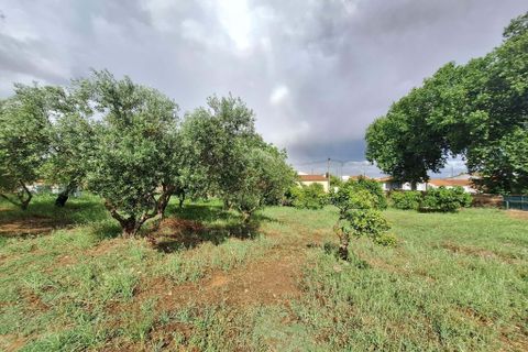 Farm hus i Serpa, Beja, Serpa - € 330.000 | Ref: 0336 - foto 14