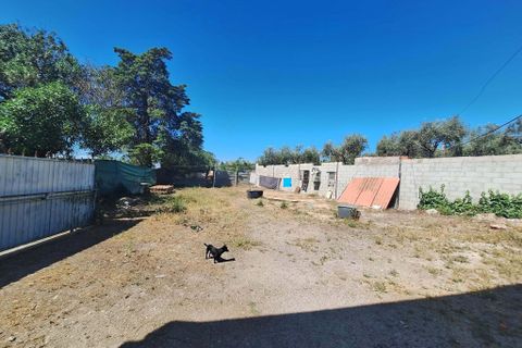 Farm hus i Serpa, Beja, Serpa - € 330.000 | Ref: 0336 - foto 15