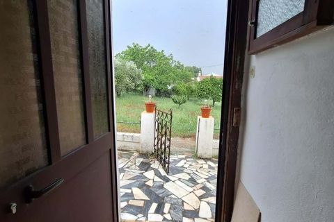 Farm hus i Serpa, Beja, Serpa - € 330.000 | Ref: 0336 - foto 17