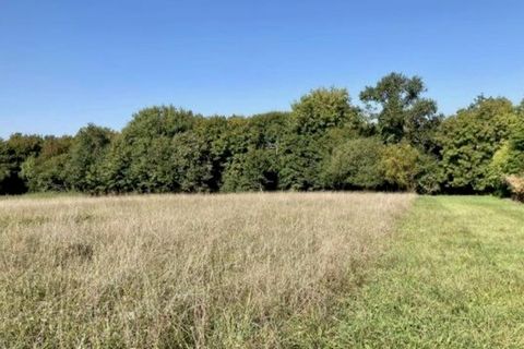 Tomt i Sadirac, Gironde, Sadirac - € 140 000 | Ref: KC-0705-Sadirac3 - foto 3